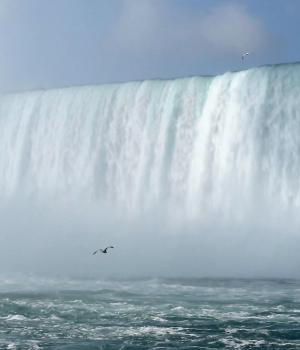 A bizalom próbája: Kötélen a Niagara felett