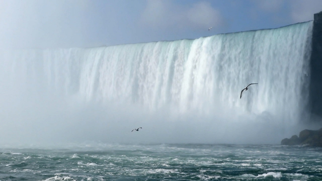 A bizalom próbája: Kötélen a Niagara felett